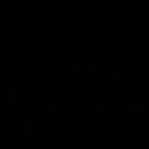 Meet your Posher, Ray